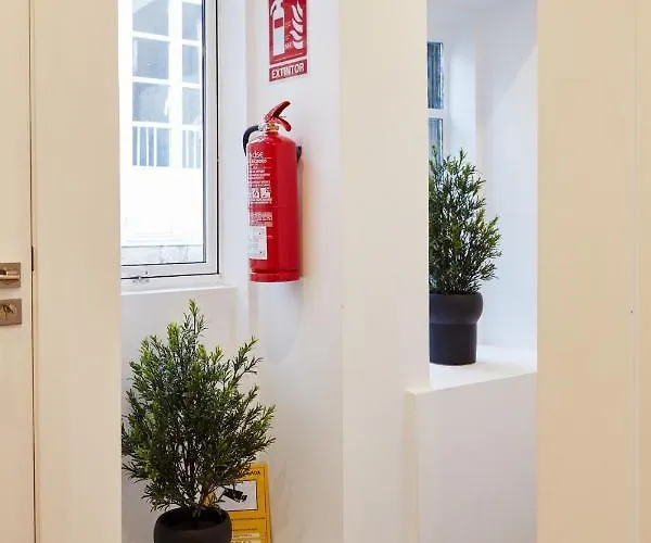 Orfas * Santiago de Compostela